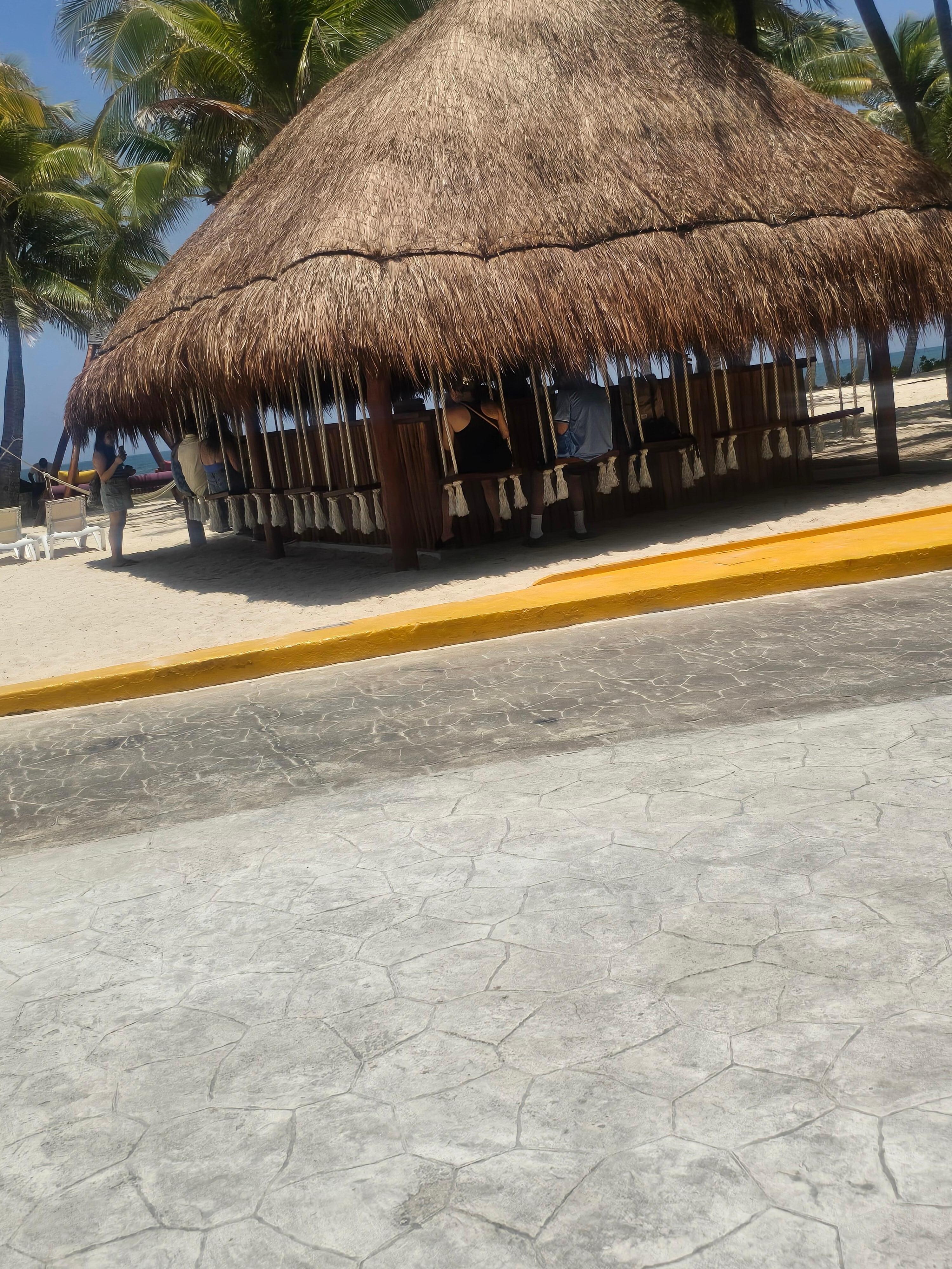 Swing bar
