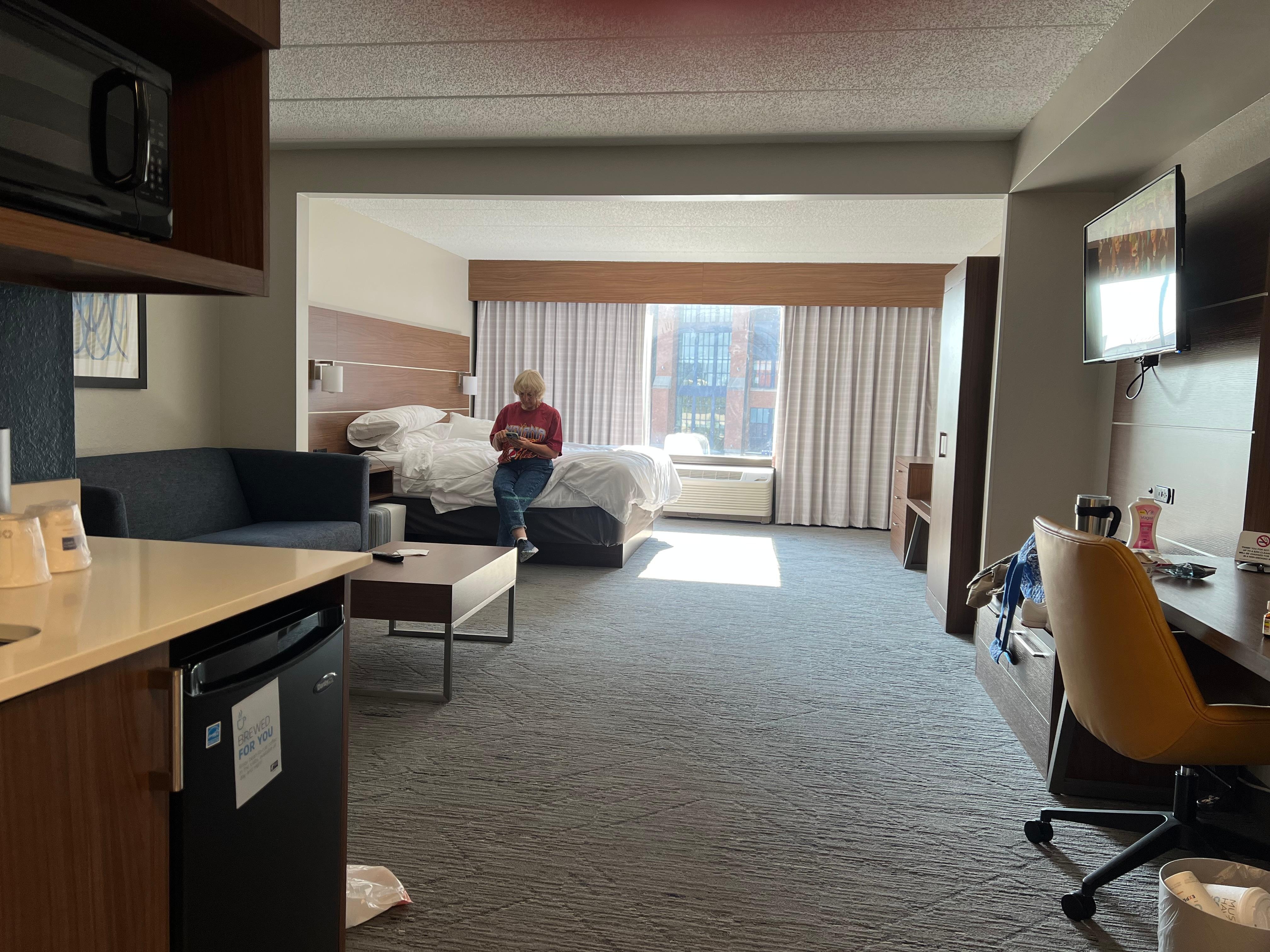 Mini suite with King bed and pull out sofa. Two TV’s. Nice bathroom with shower.