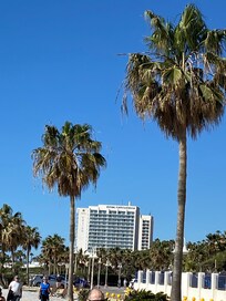 View of hotel on my beach walk.