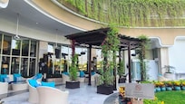 Tea Lounge Outside