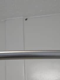 Big cockroach in bathroom when we checked in. :(