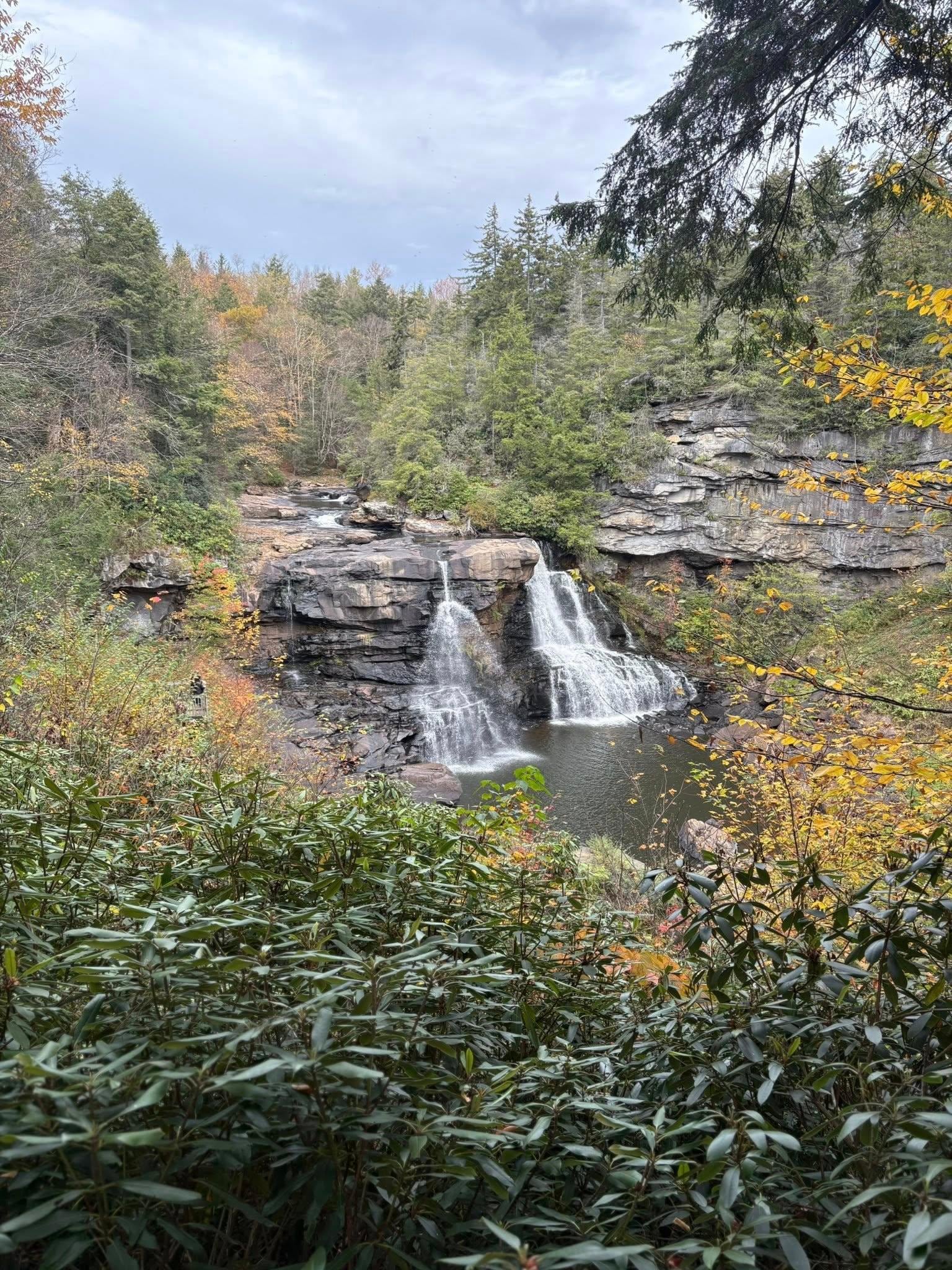 Blackwater Falls