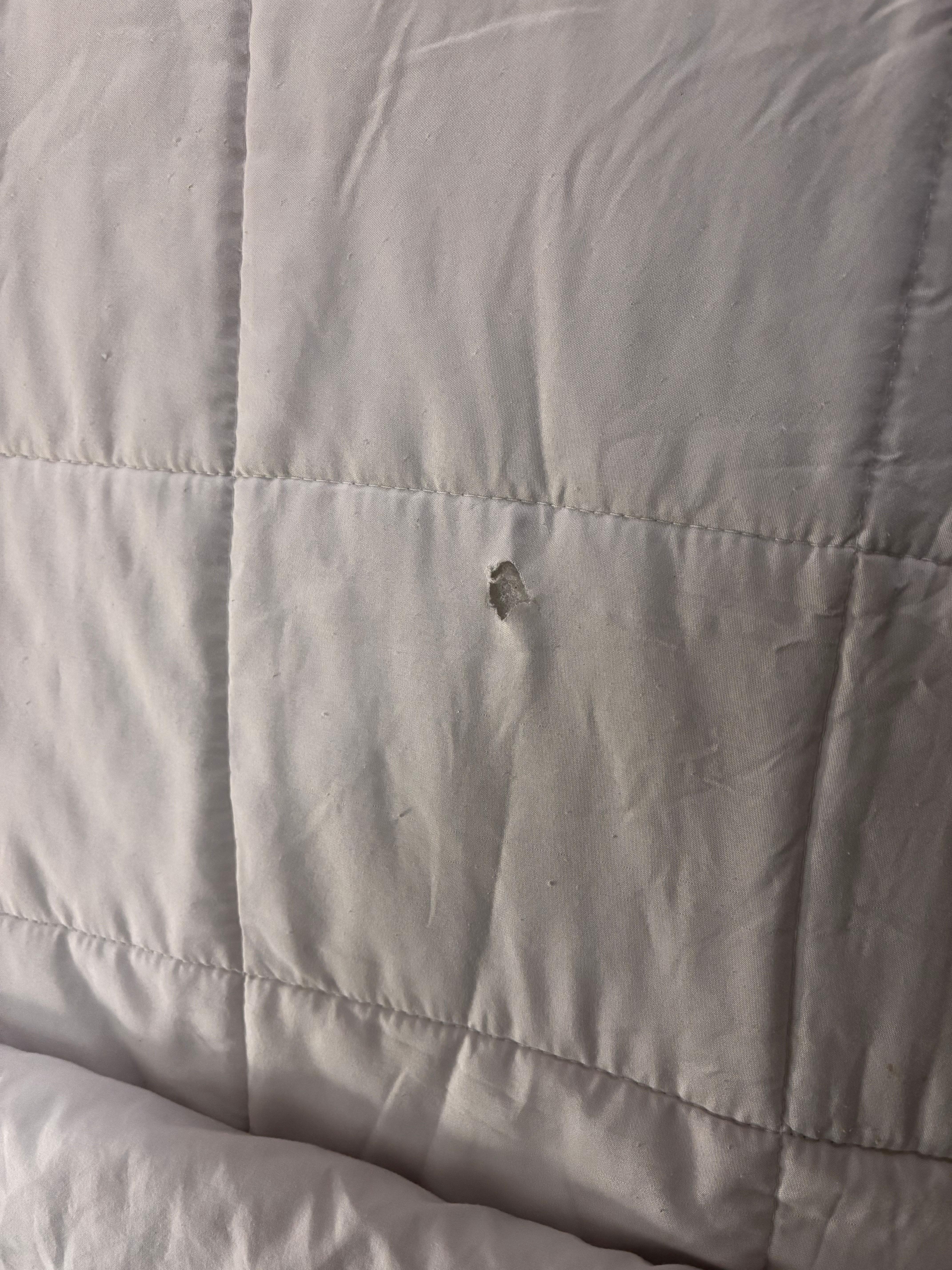 lovely hole in bedspread.  cigarette burn i imagine. whole room smelled like a smoker’s paradise 
