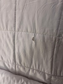 lovely hole in bedspread.  cigarette burn i imagine. whole room smelled like a smoker’s paradise