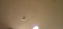 Hole in ceiling mildew