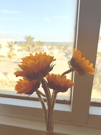 Incredible ocean view and sunrise each morning.