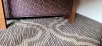food on the floor; not vacuumed
