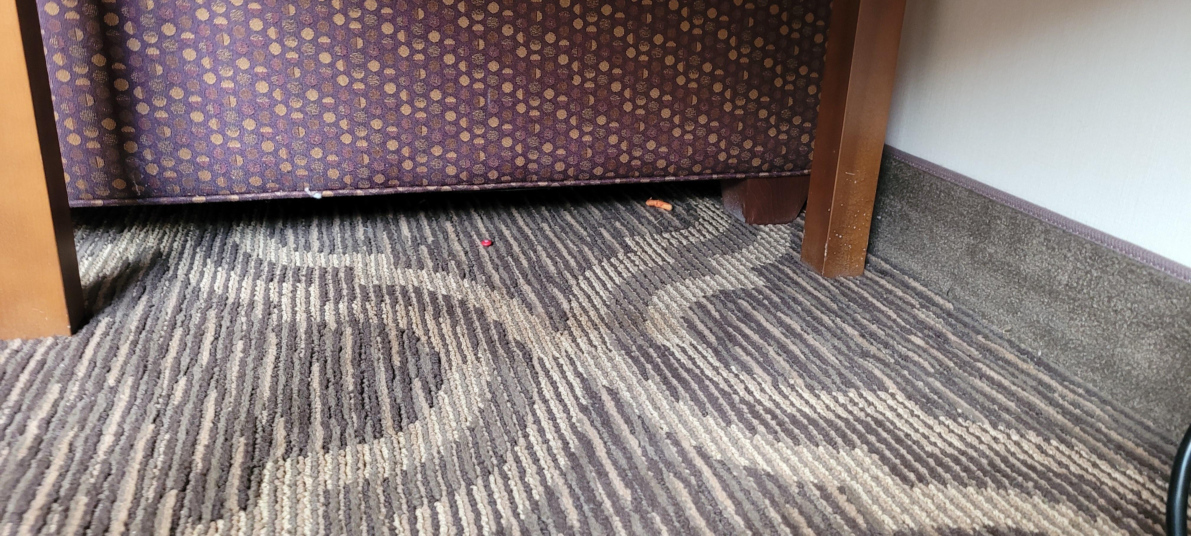 food on the floor; not vacuumed