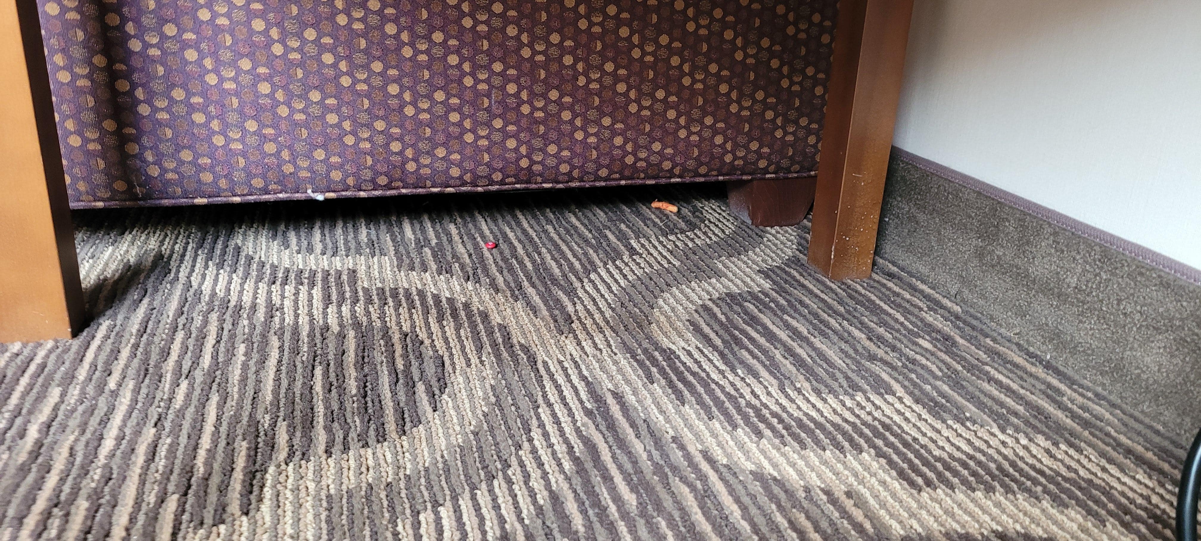food on the floor; not vacuumed