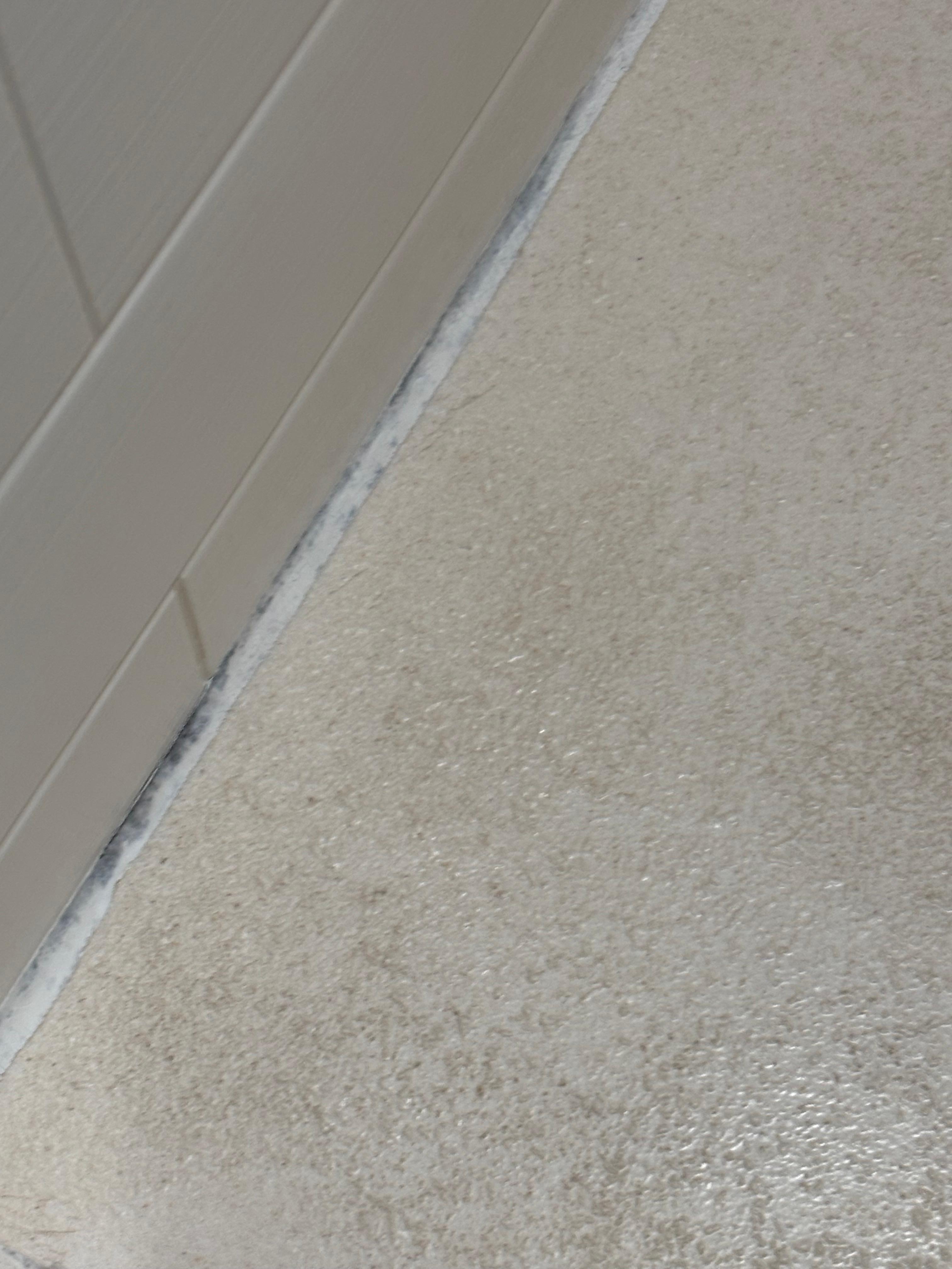 Again another side of the shower basin