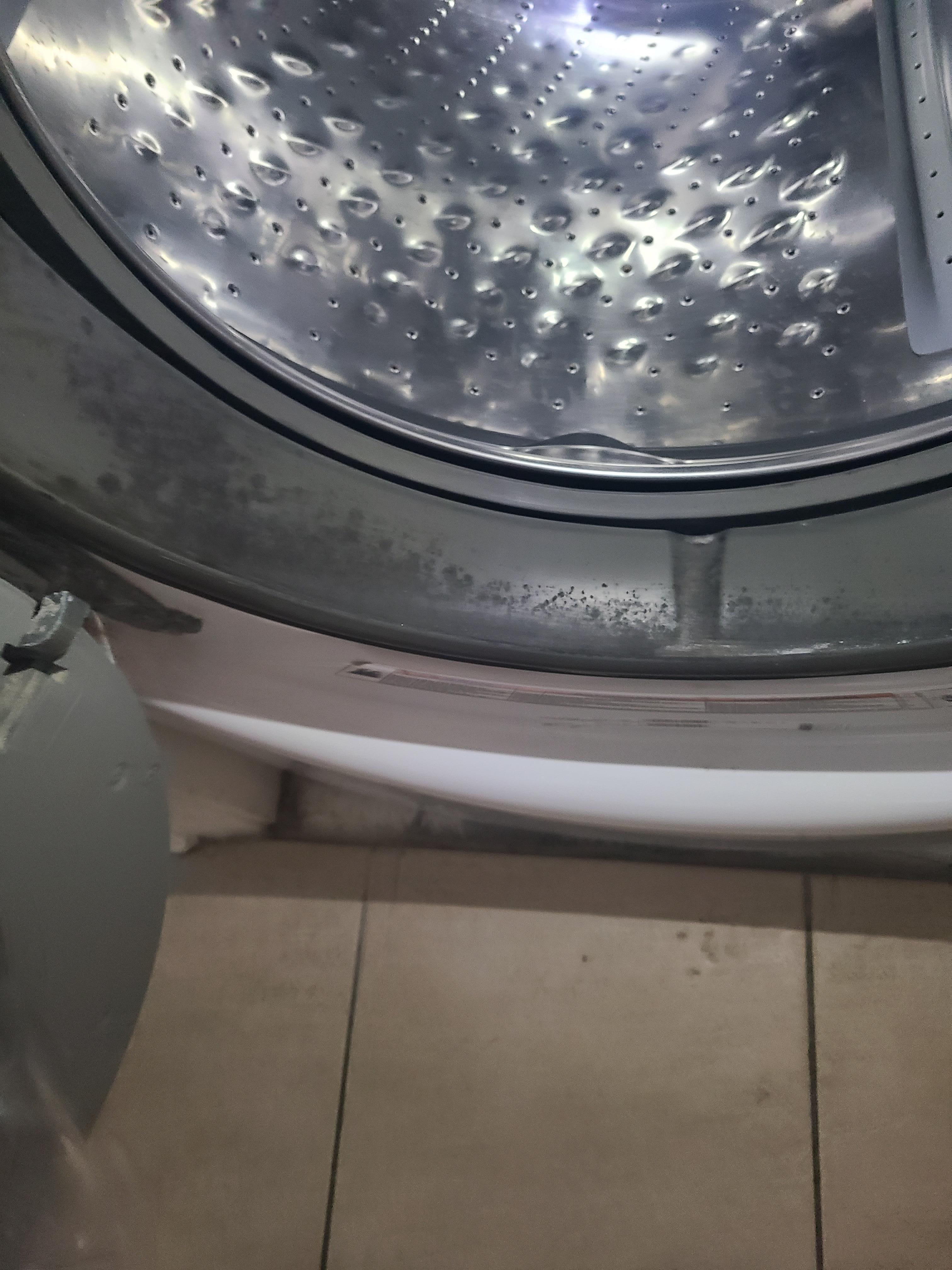 Mold in the washer