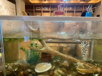 上でつりをしているのが可愛らしかった。