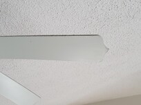 Ceiling fan