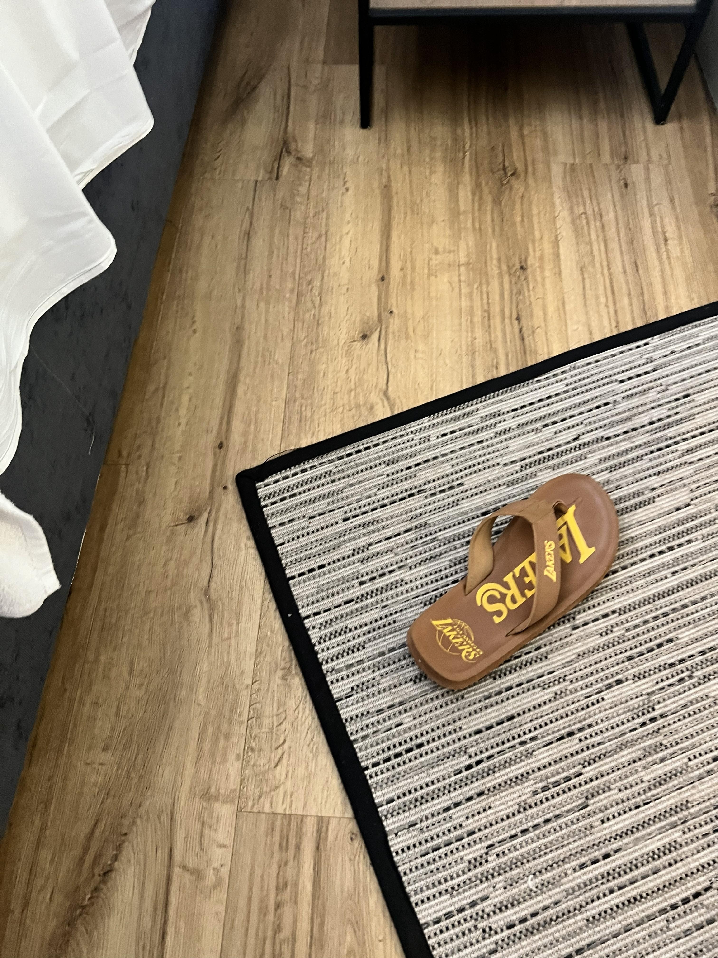 A single slipper that I found under my bed left by a previous guest.