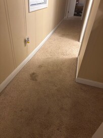 Stained carpet