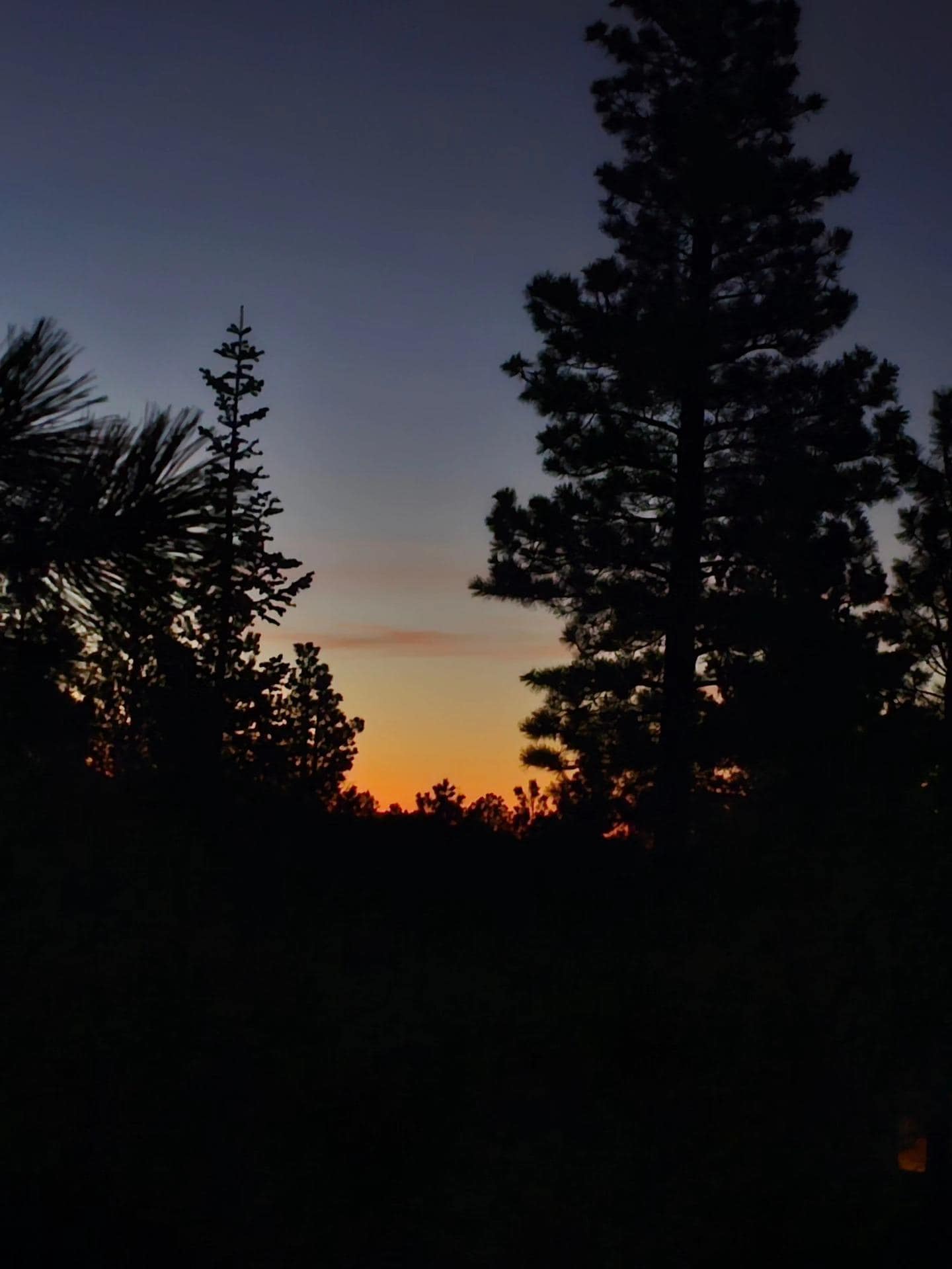 Sunrise and Mountain Cabin with Fireplace