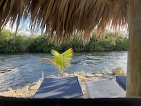 View from the loungers directly into the mangroves