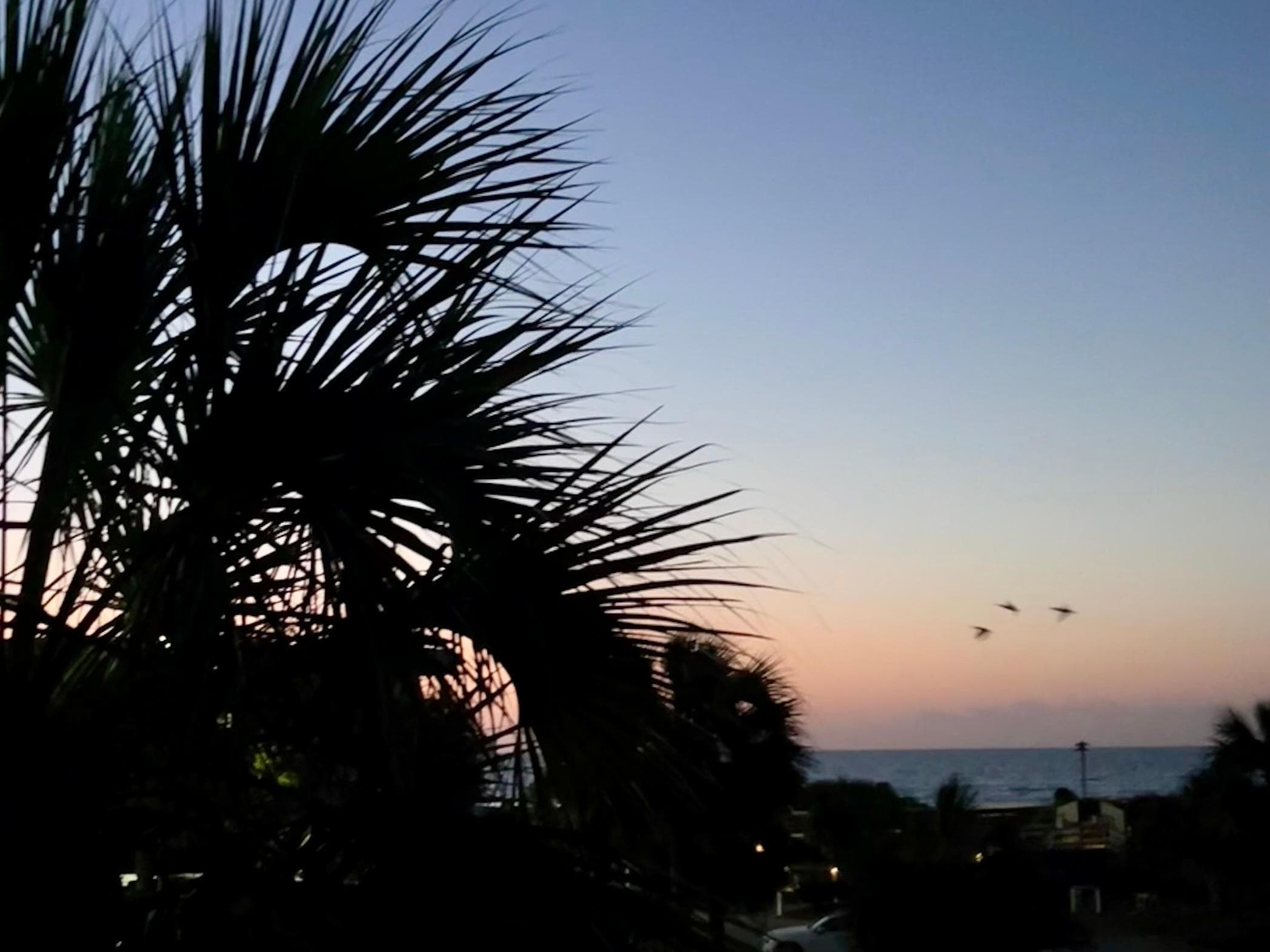 Just before sunrise from the balcony