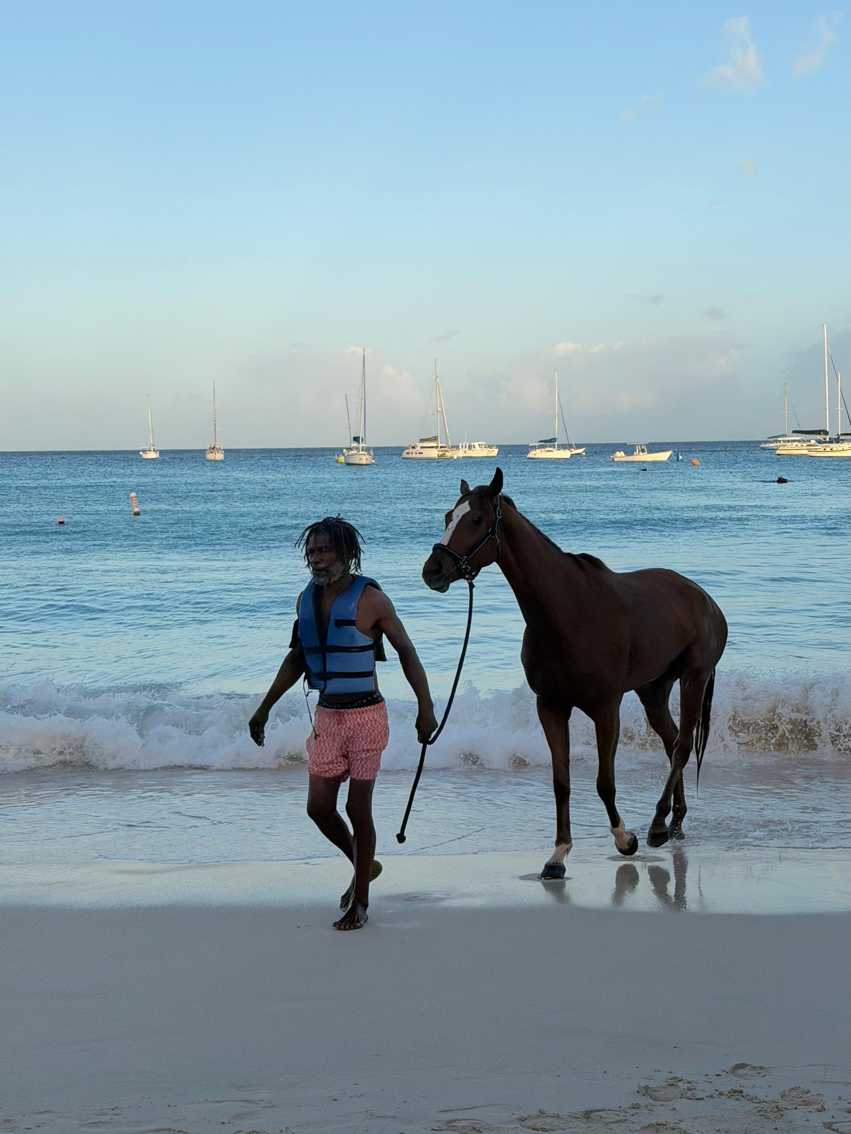 The race courses are exercise every morning in the ocean. Pebble Beach is just a short walk away.