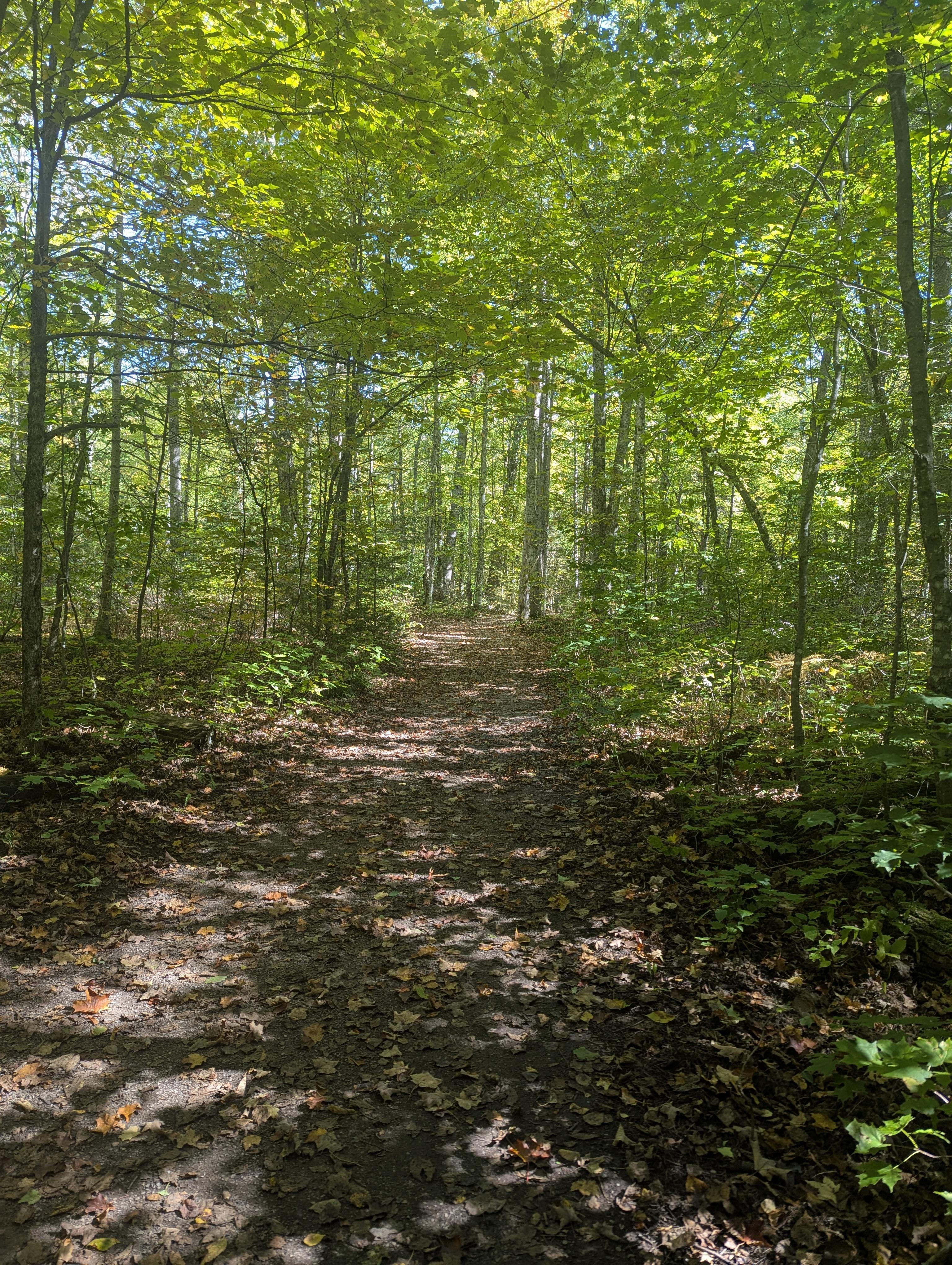 The drive back to the cabin