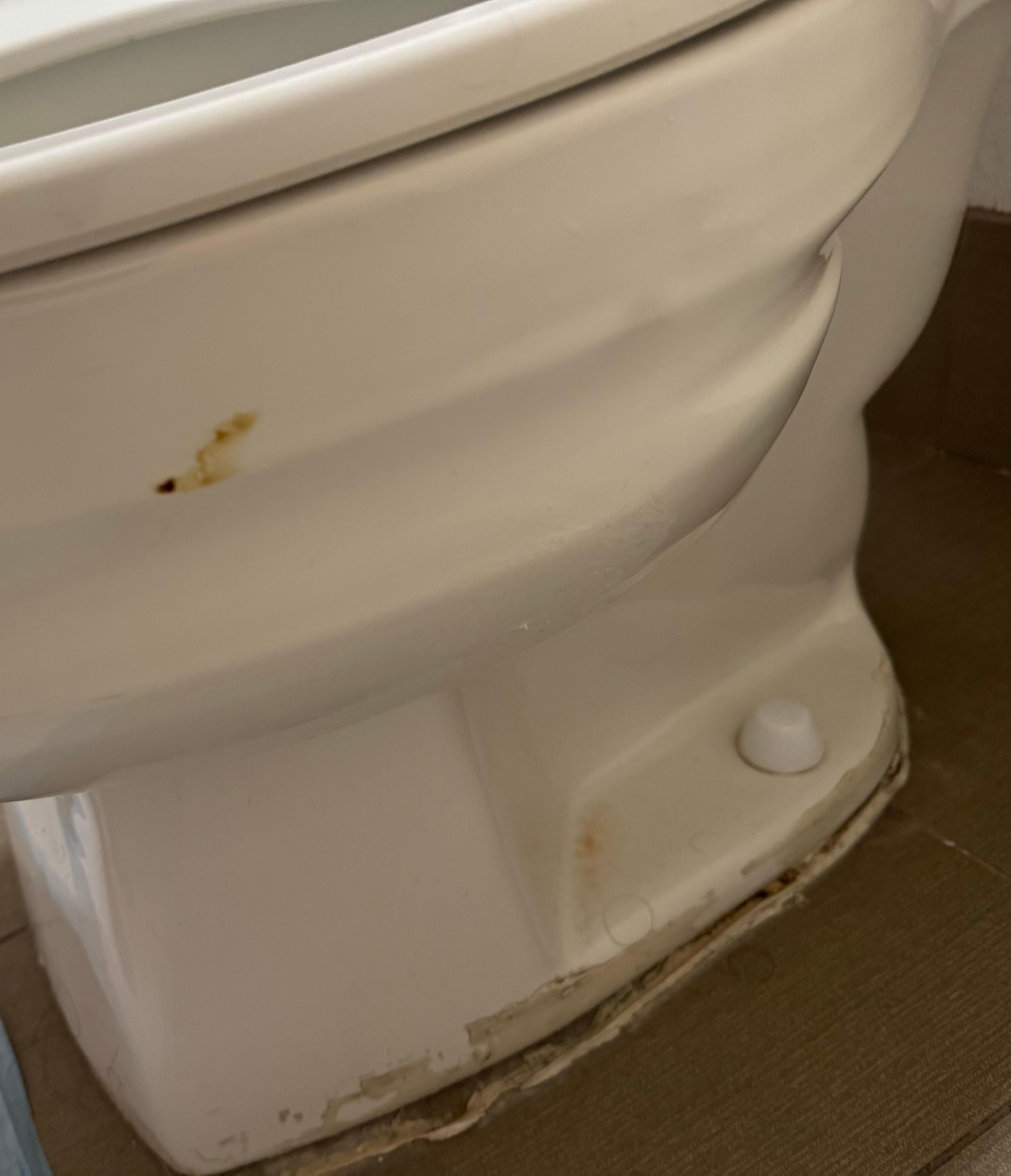 Poop from prior person