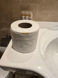 Poop on the toilet paper