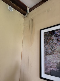 Humidité et tache noire