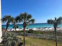 Love the palm trees