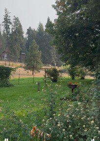 Beautiful garden
