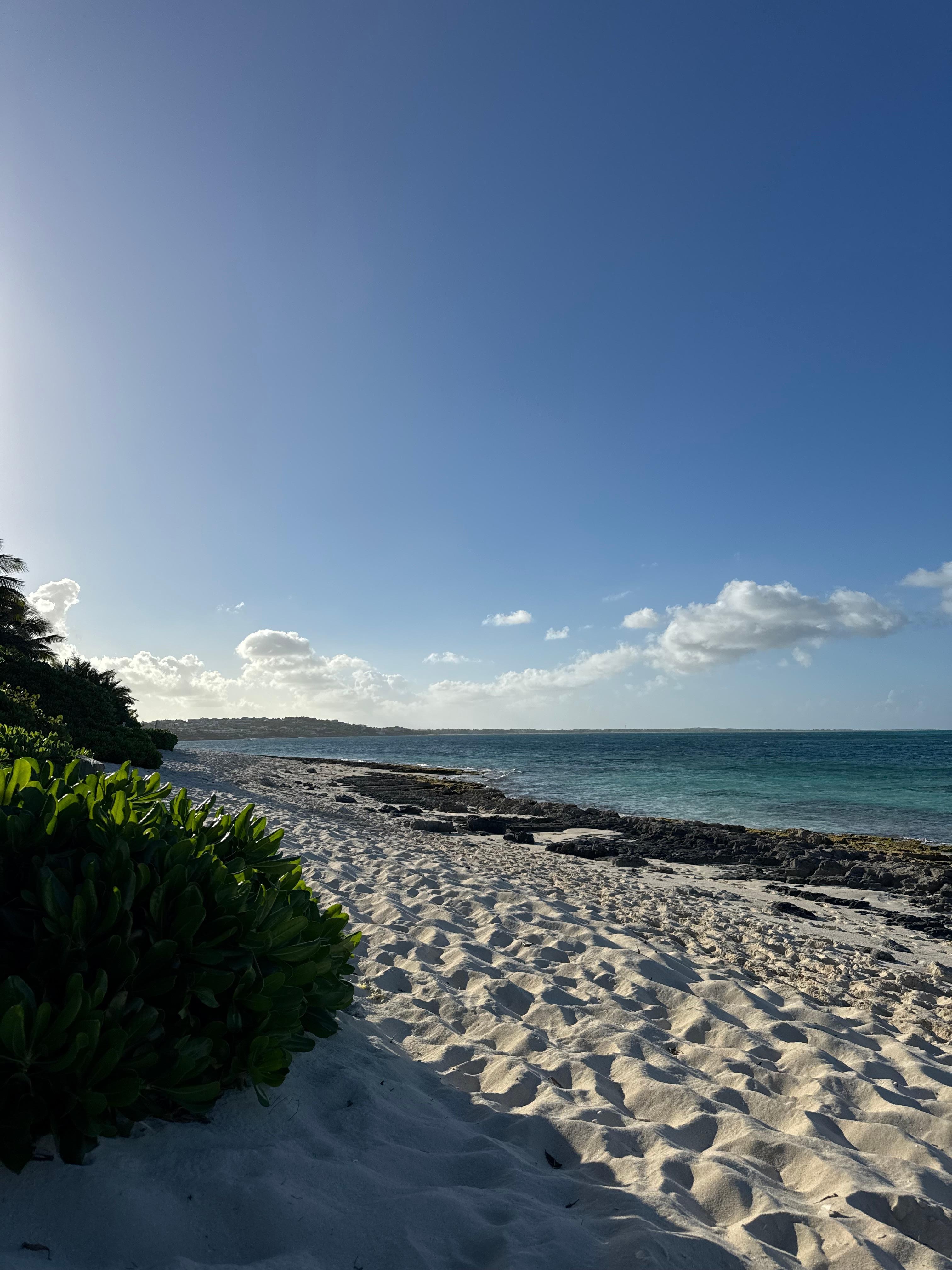 Beach scene just a few steps from house. 