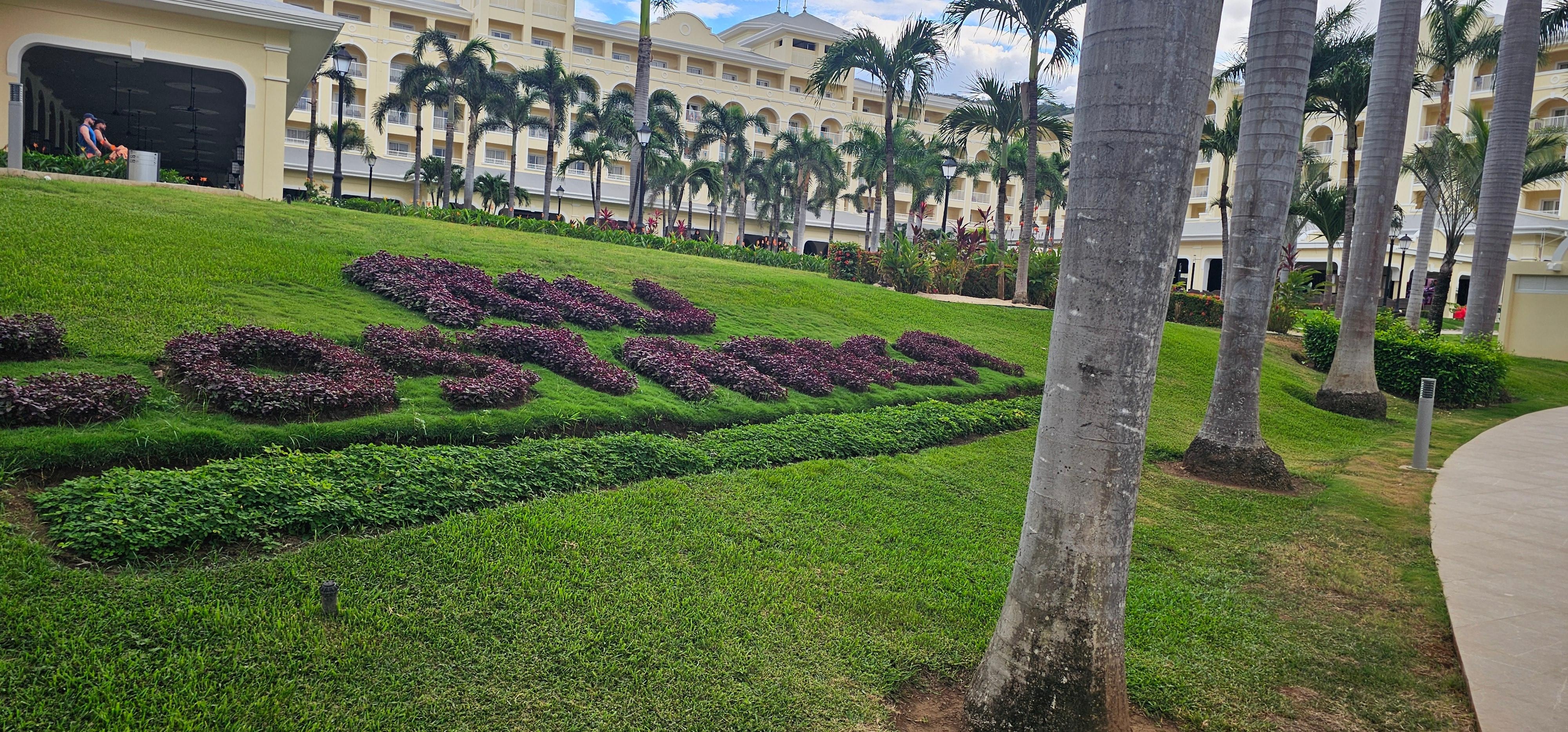 Well maintenance landscape 