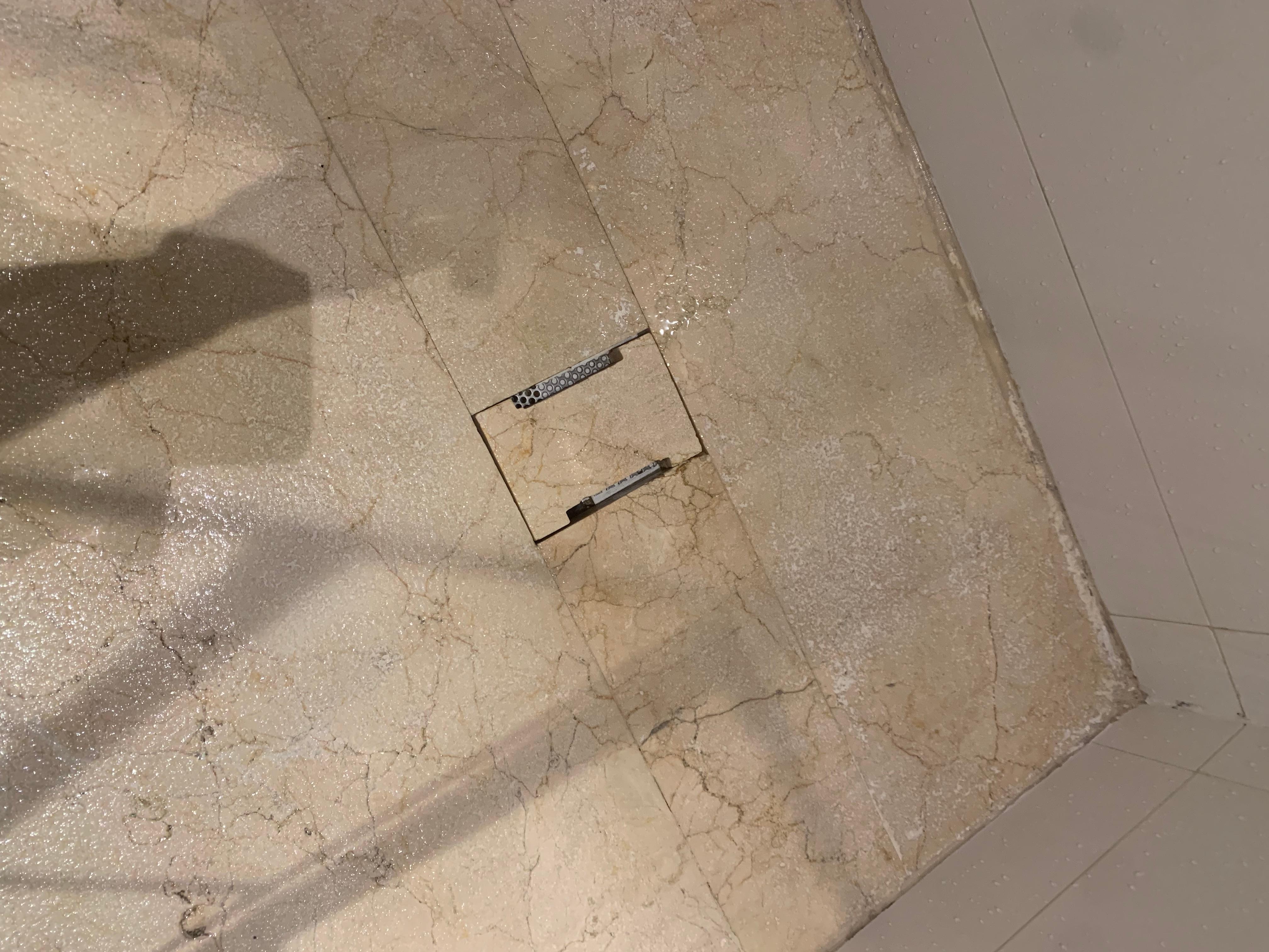 Drain in shower floor where flies came from.