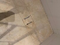 Drain in shower floor where flies came from.