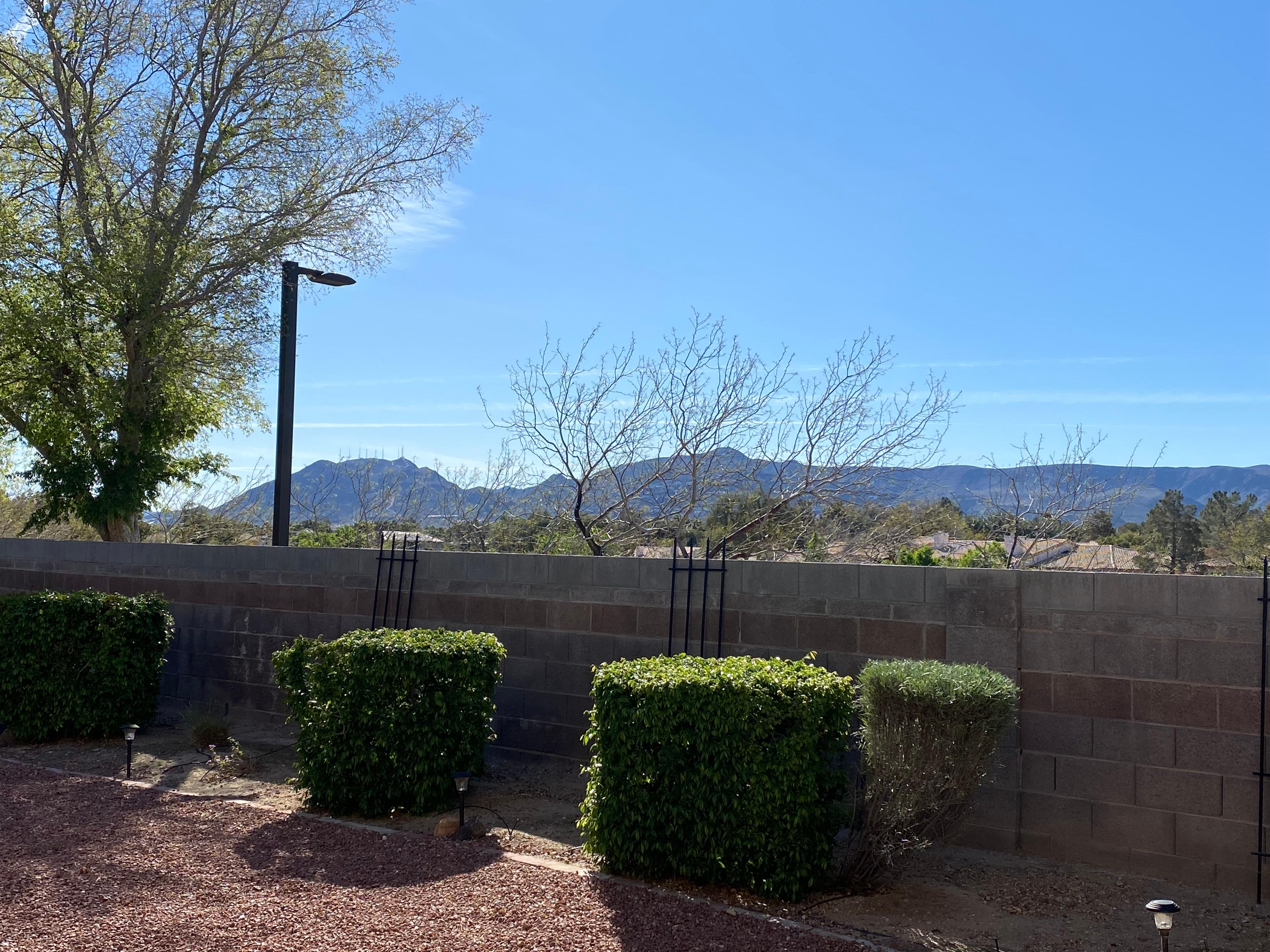 Private and lovely backyard 
