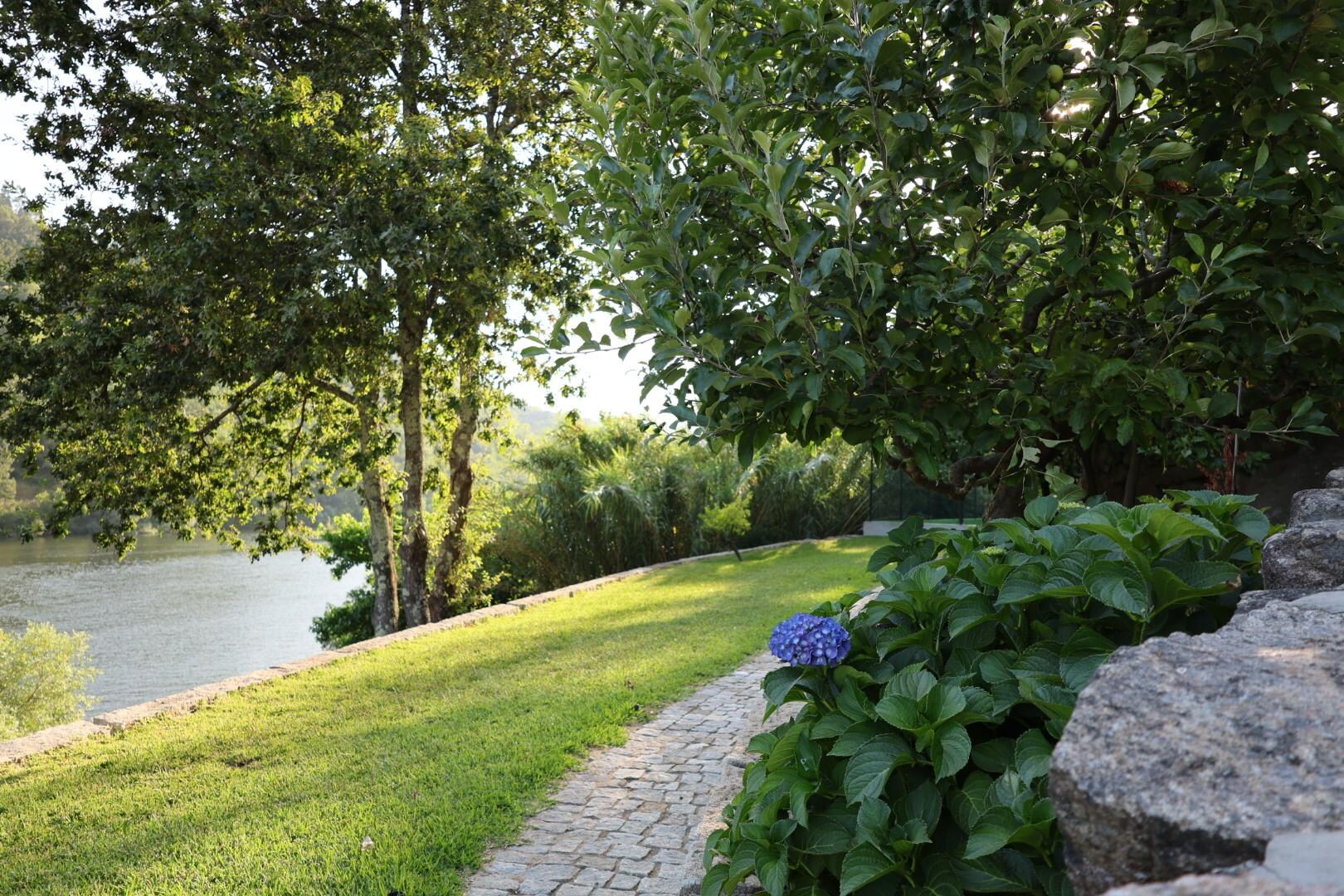 Towards the basketball court.