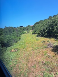 The view up the mountain from the side porch.