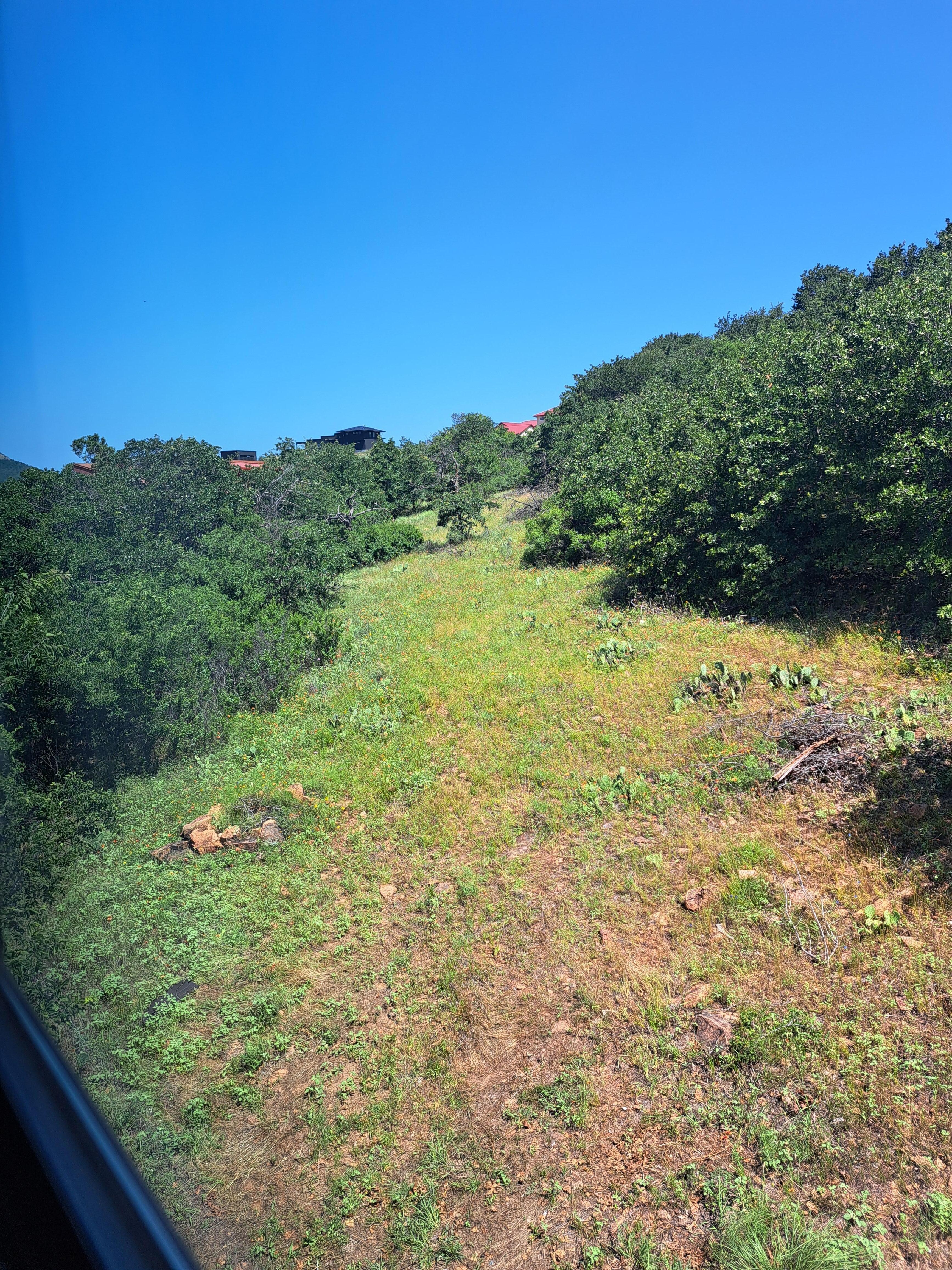The view up the mountain from the side porch.