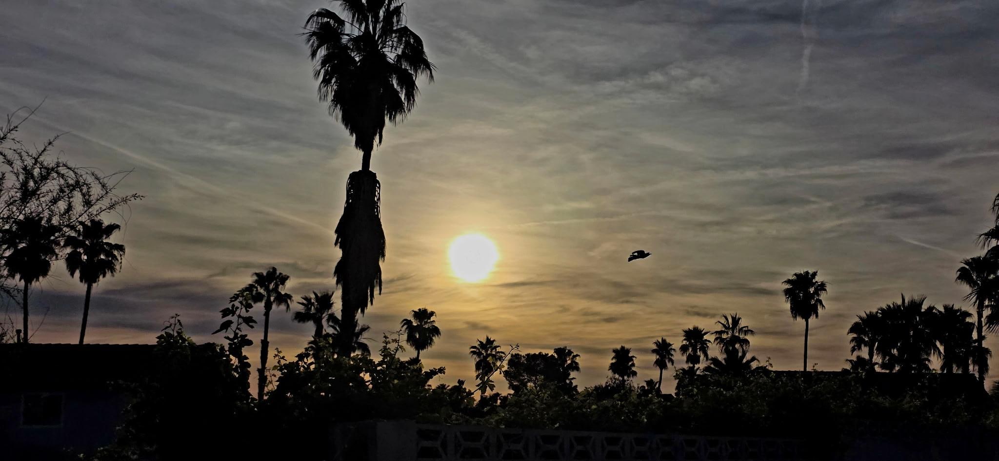 Sunrise looking off the back patio