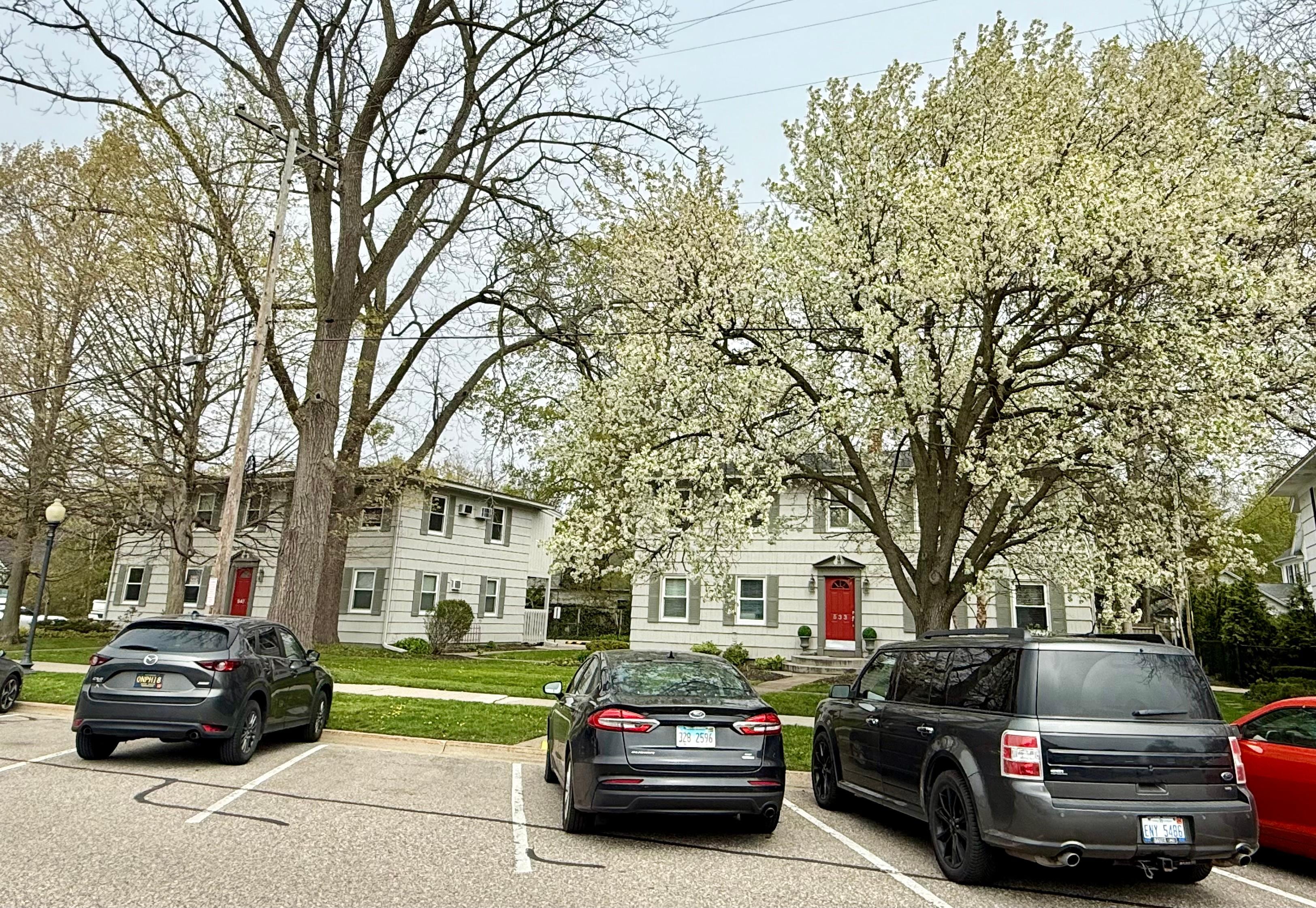 Front of the property