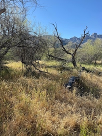 Catalina State Park