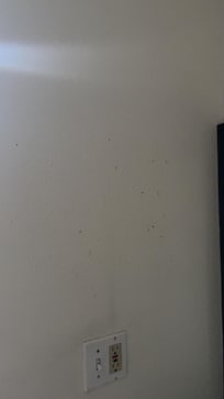 Dirt on walls