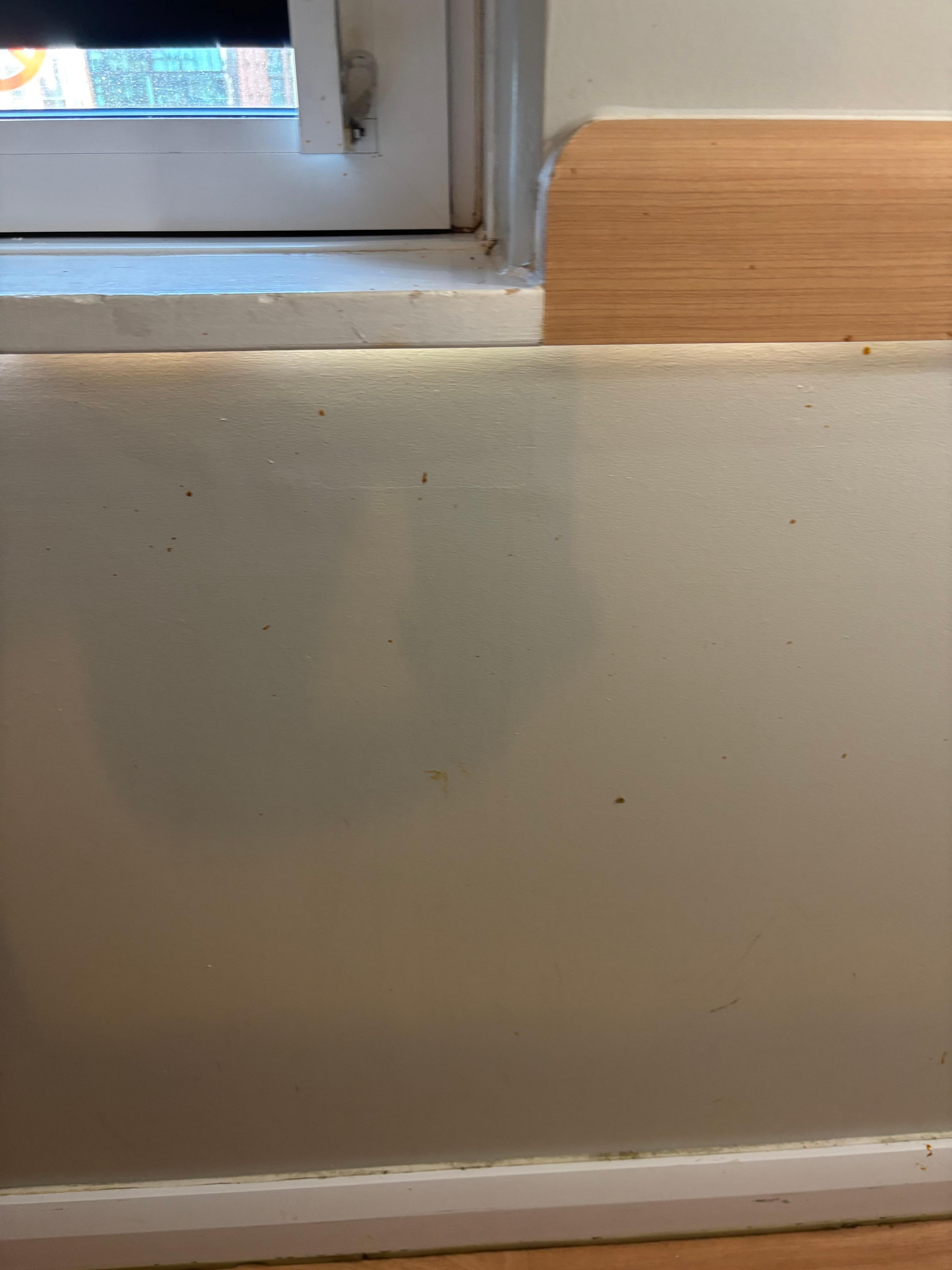 Food splatter on the walls