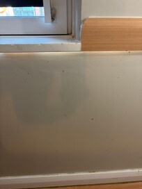 Food splatter on the walls