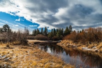 Creek running through back yard