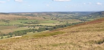 View over Rosedale