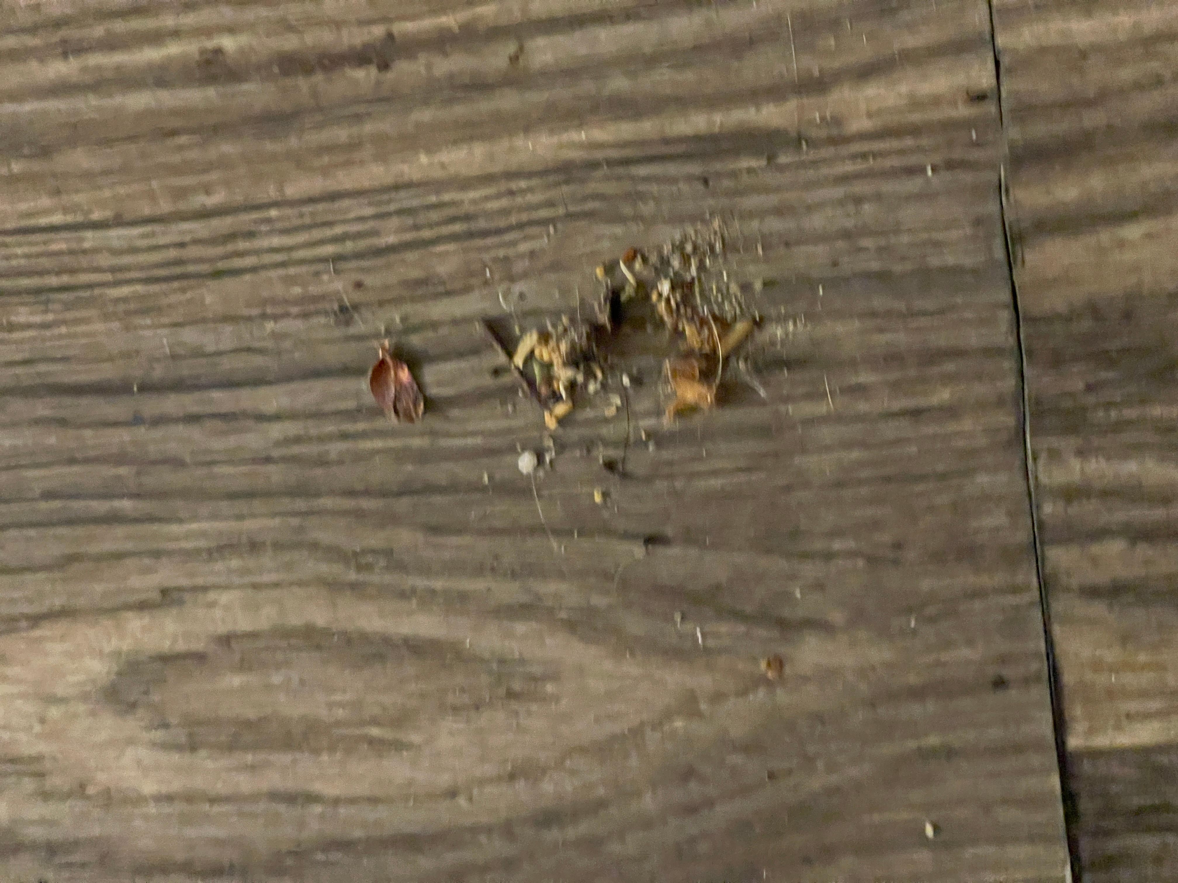 This was at the foot of the bed