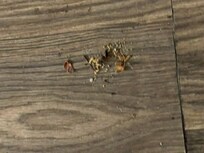 This was at the foot of the bed