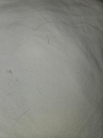 Dog hair on pillow