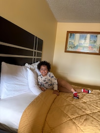 Room was clean beds comfortable