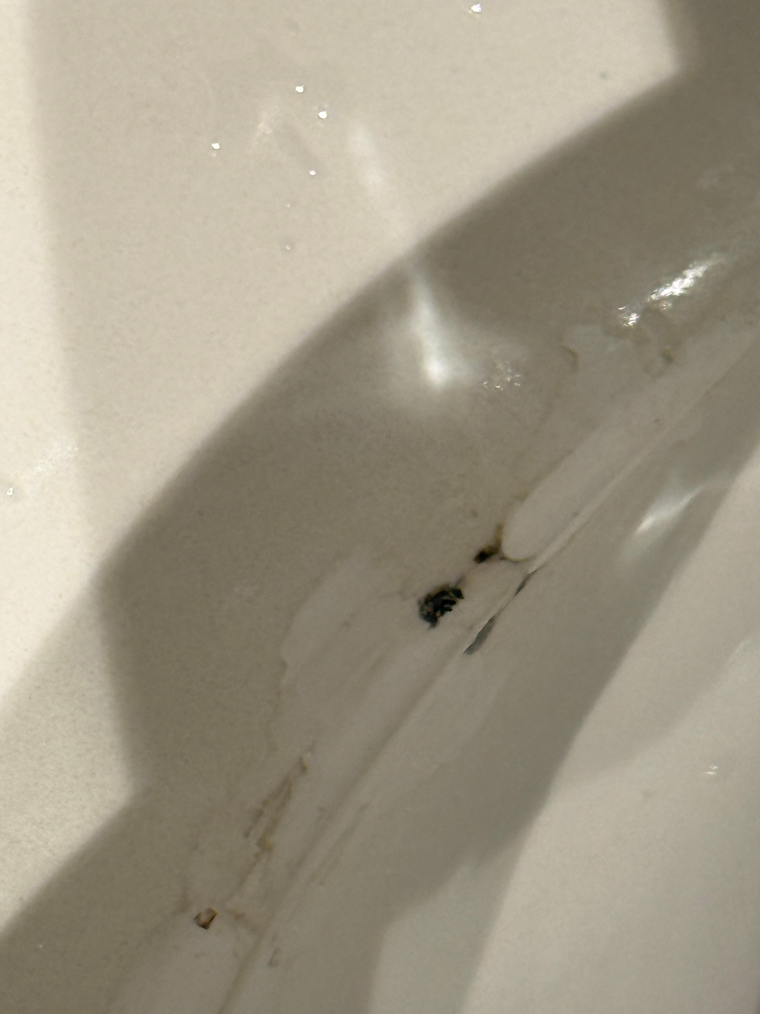 This was the bathroom sink, I was so disgusted 